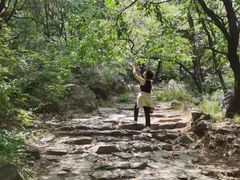 -阳台山自然风景区