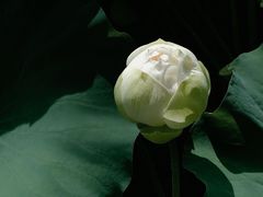 -黄兴公园