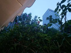 -大妙火锅·非物质文化遗产(东湖公园店)