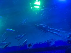 -成都浩海立方海洋公园