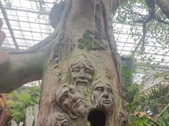 -呀路古热带植物园