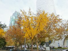 -上海尚嘉中心