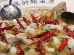 -宋小谨(惠安禹洲店)