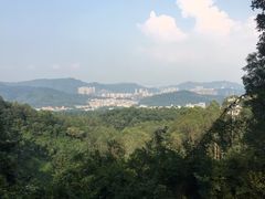 -火炉山森林公园