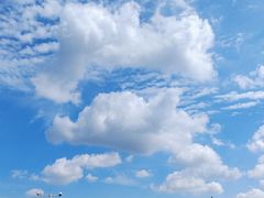 -南大港湿地风景区