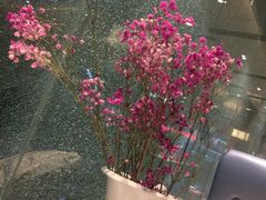 -云海轩·海鲜自助-河北云瑧世纪大饭店1F
