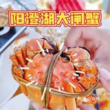 阳澄湖畔大闸蟹🎈山水蟹庄蟹全友🦀解锁秋日第一只螃蟹吧🔥