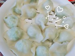 茭瓜鸡蛋虾仁水饺-添福来墨鱼饺子 · 海鲜东北菜(大连星海·黄浦路店)