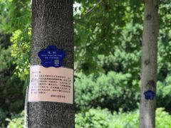 -望湖公园