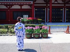 -东京浅草和服体验江户和装工房雅(浅草本店)