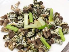 -星龙海鲜(望江东路店)