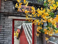 -潭柘寺景区