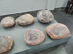 -游龙石文化科普馆
