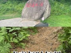 -五营红松林海景区