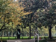 -唐城墙遗址公园