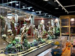 -趣陶陶艺手工坊(新世界百货重庆店)