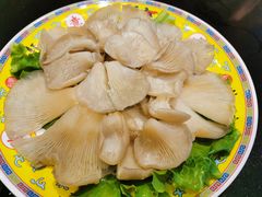 鲜平菇-芦月轩羊蝎子(北蜂窝店)