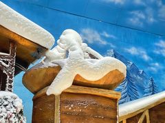 -世界之窗阿尔卑斯冰雪世界