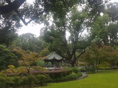 -申粤轩酒楼·三十年粤菜经典(丁香花园店)