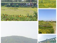 -苏州太湖西山岛开心农场