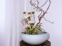 -六艺琴馆钢琴·古筝·古琴·琵琶