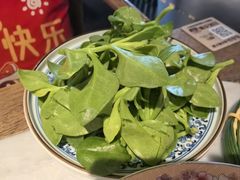 穿心莲-尚尚仙·酸汤猪手·猪肚鸡火锅(华联万柳购物中心店)