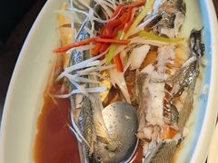 -前海沿·青岛菜(李沧万达店)