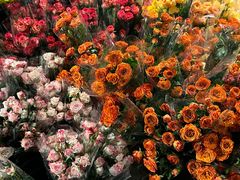 -循礼门鲜花花市(武汉循礼门店)