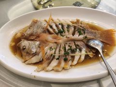 -骏莱海鲜鱼港(五角场店)