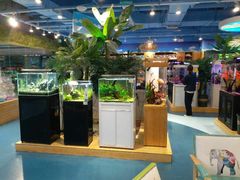 -龟与熊猫宠物公园(南坪店)