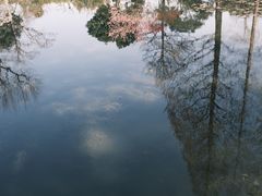 -无锡梅园公园