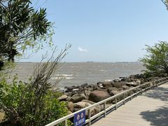 -上海吴淞炮台湾国家湿地公园