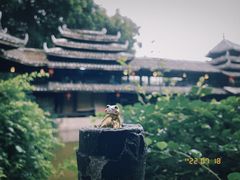 -阿谋美食·广西菜