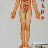 梦丽贝缇瘦身健美馆