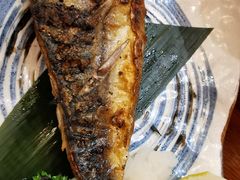 盐烤青花鱼-初居食屋日式料理(万象城购物中心店)