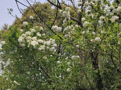 -春暖花开(西溪店)