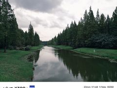 -黄海国家森林公园