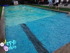 -汪说喵讲宠物乐园宠物酒店(红星美凯龙店)