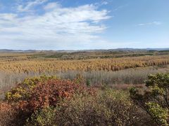 -塞罕坝国家级自然保护区