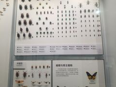 -四川大学博物馆