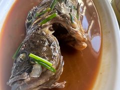 红烧黑石斑鱼-北戴河转鱼·炒螃蟹酱餐厅