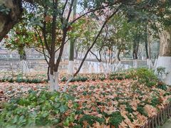 -安徽大学(龙河校区)