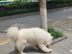 -武汉光谷K11