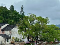 -晓琦农家菜馆·地道农家菜