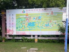 -上海海湾国家森林公园