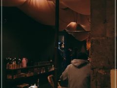 -毛辣果·酸