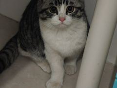 -宠福鑫康馨动物医院·骨科·眼科