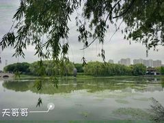 -昆山城市生态森林公园