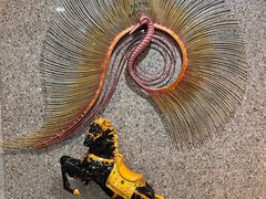 -海天一色海景自助餐厅(西港花园店)