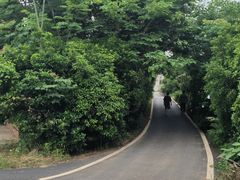 -青龙山国家森林公园